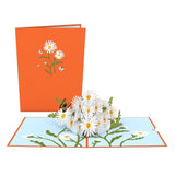 Lovepop Cards - Daisies with Monarch Butterfly Pop-Up Card, Flower Lovepop Cards