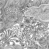 Peter Pauper Press - Serenity Artist's Coloring Book Peter Pauper Press