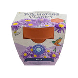 Pollinator Classic Terracotta Aster Grow Kit – Indoor Gift