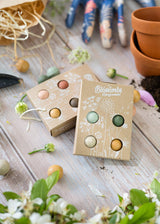 Mini Wildflower Gift Box Delft Blue Seed Bombs