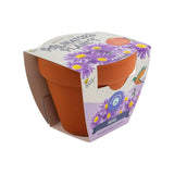 Pollinator Classic Terracotta Aster Grow Kit – Indoor Gift