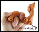 Curious Minds Toys - 1 Stretchy Weiner Dog Crushed Bead Sand Filled - Doggy Lover Curious Minds Toys