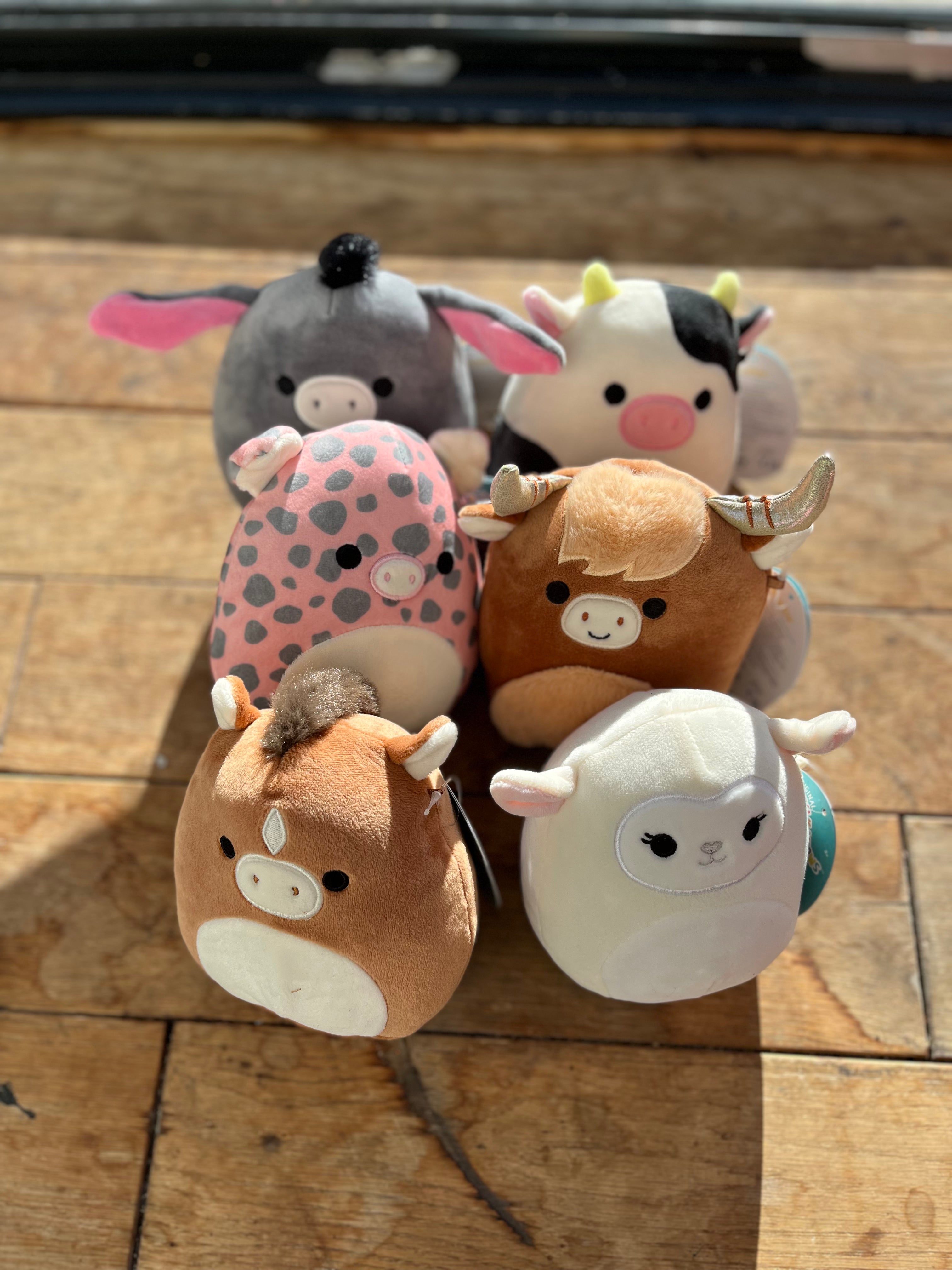 Squishmallow purchases ‘ON THE FARM’ bundle