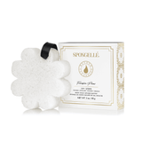 Spongellé - Freesia Pear Boxed Flower | Gifts Spongellé