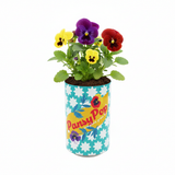 Seeds Grow Gifts - Soda Can Flower Grow Kit | Lavender Daisy Pansy | Garden Set
