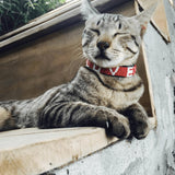 Love Is Project - LOVE Pet Collar - Red Love Is Project