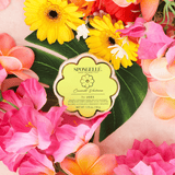 Spongellé - Coconut Verbena Daisy Spongette | Soap Sponge | Soap Buffer Spongellé