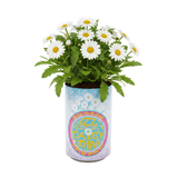 Seeds Grow Gifts - Soda Can Flower Grow Kit | Lavender Daisy Pansy | Garden Set