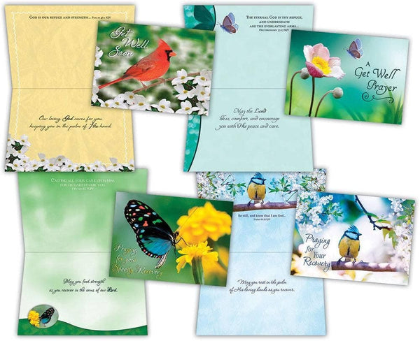 Crown Point Graphics - Get Well - Birds and Butterflies - Assorted Get Well Cards Crown Point Graphics