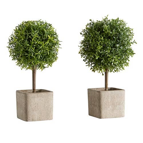 Angle - Topiary Ball In Planter Angle