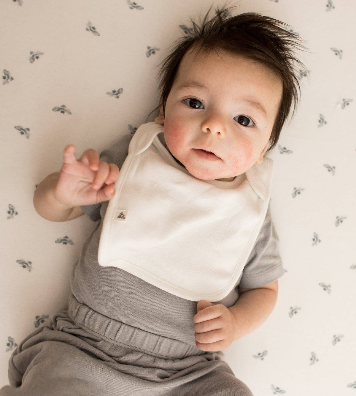 Burt's Bees Baby 2 Bibs
