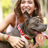 Love Is Project - LOVE Pet Collar - Red Love Is Project