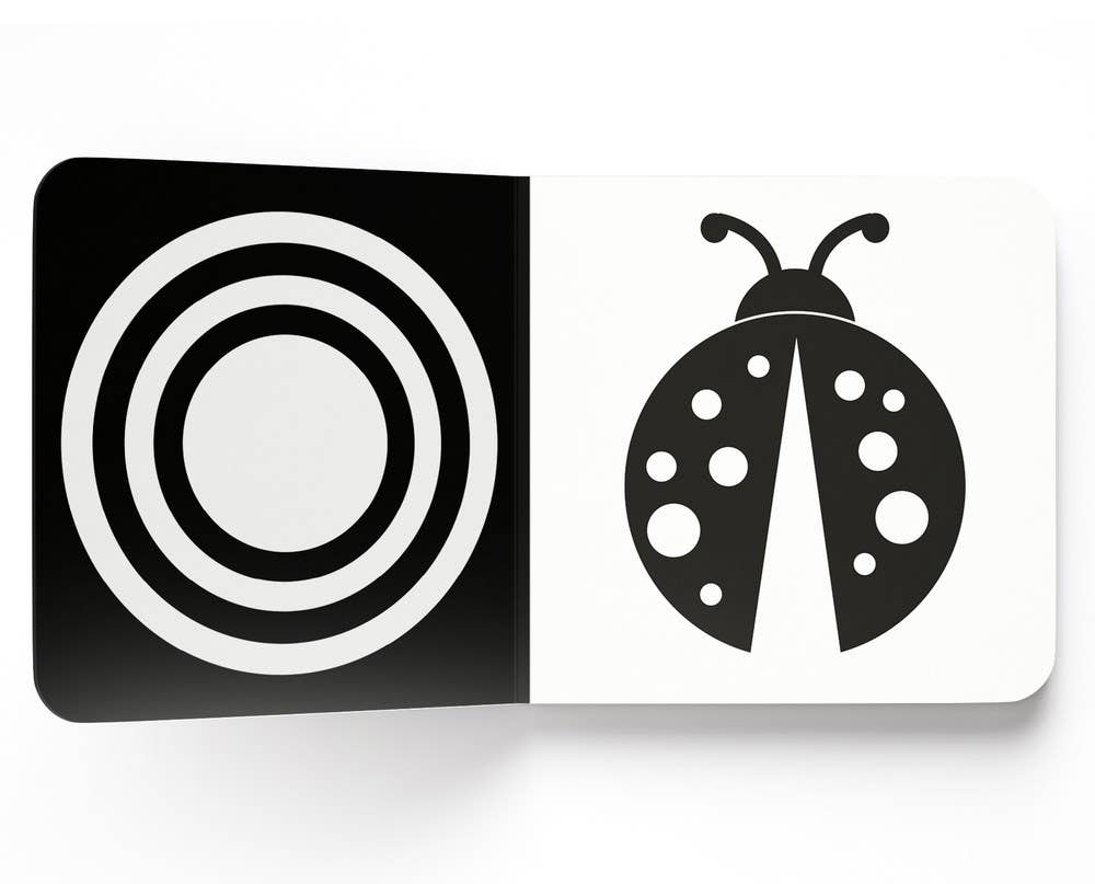 Baby’s First High-Contrast Books