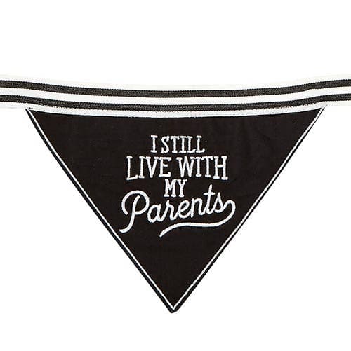 Dog Bandana I Still Live With My Parents Santa Barbara Design Studio by Creative Brands