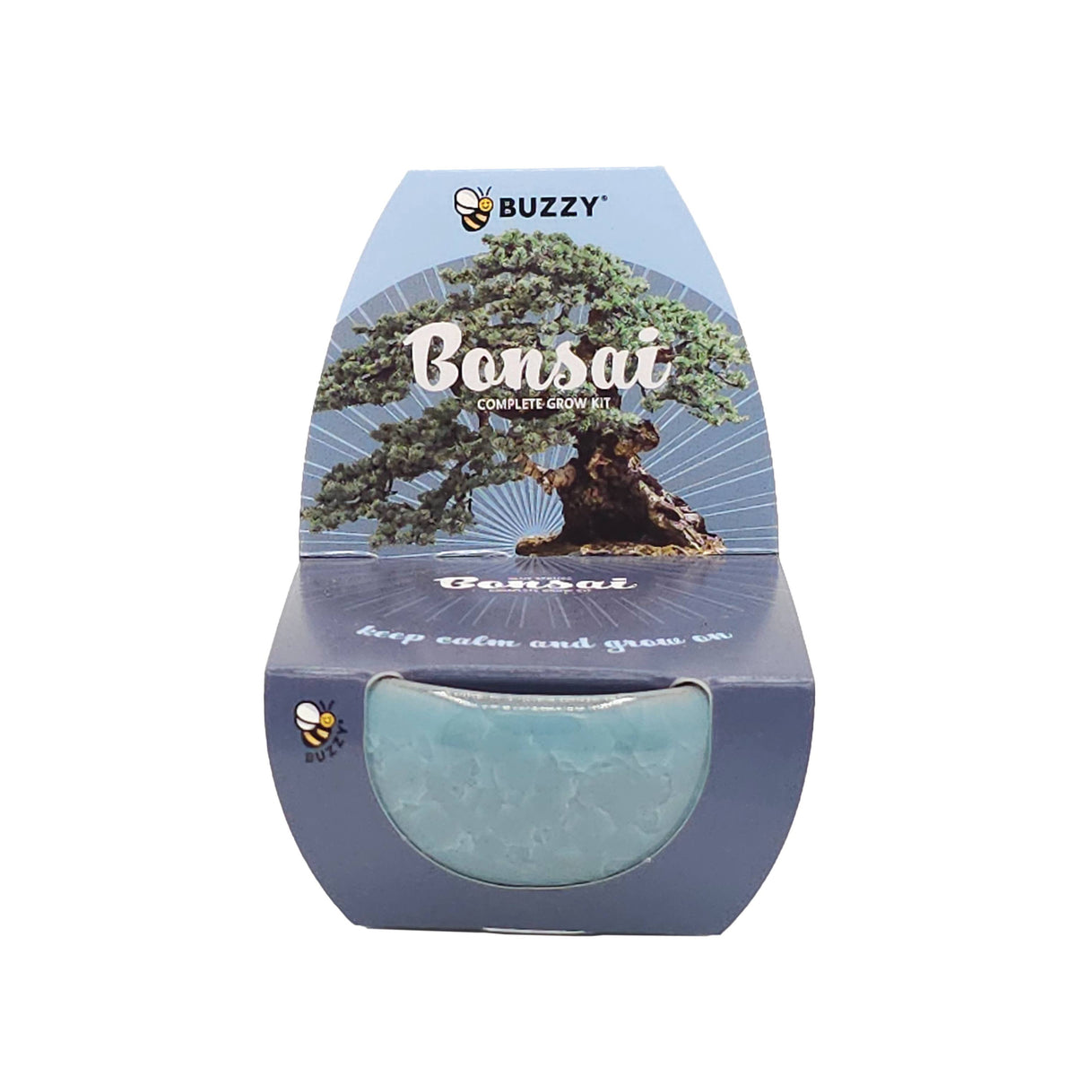 Bonsai Tree Grow Kit – 4-Pack