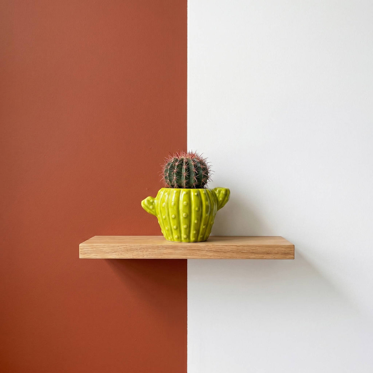 Classic Cactus Grow Kit