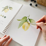 - Fruit watercolor workbook