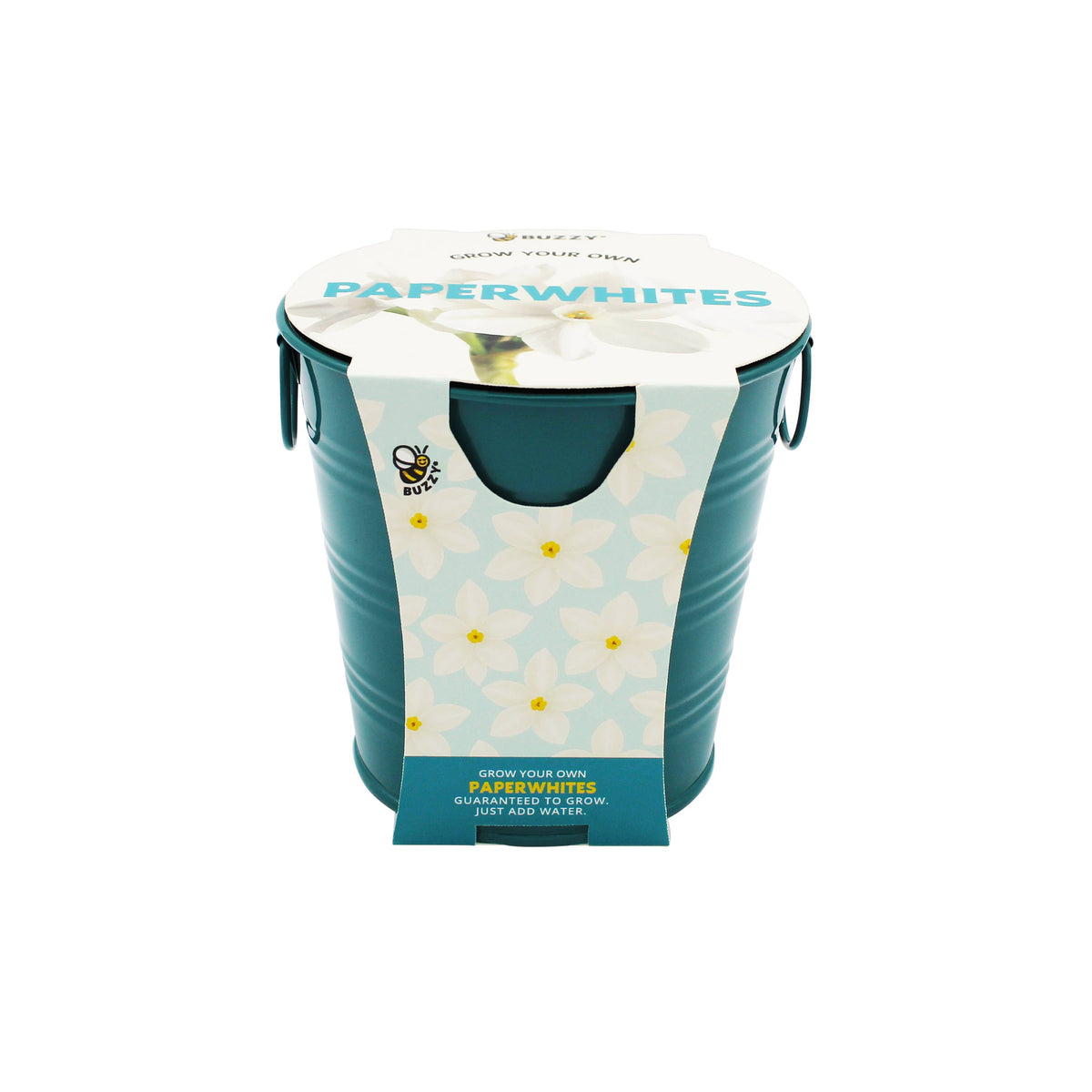 Paperwhite Bulb Grow Kit in Teal Pail