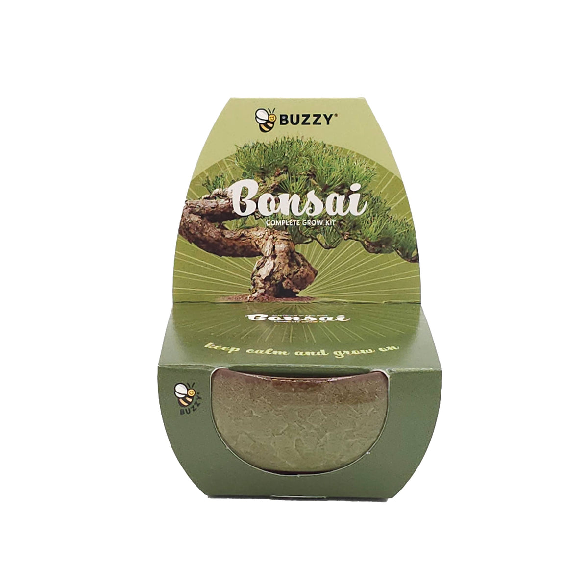 Bonsai Tree Grow Kit – 4-Pack