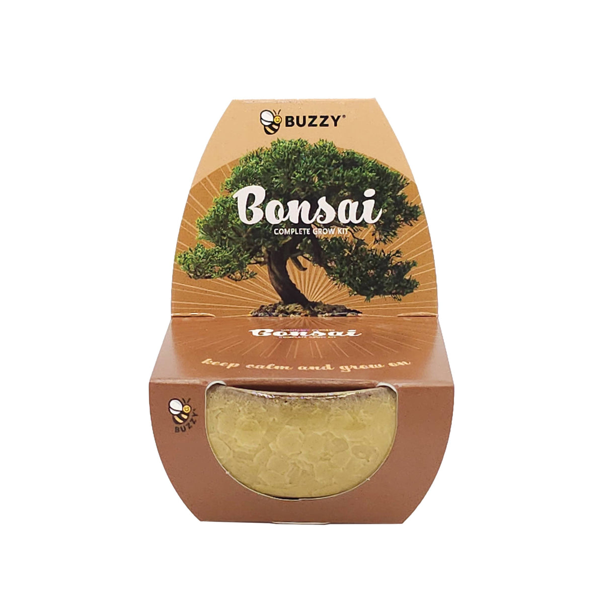 Bonsai Tree Grow Kit – 4-Pack