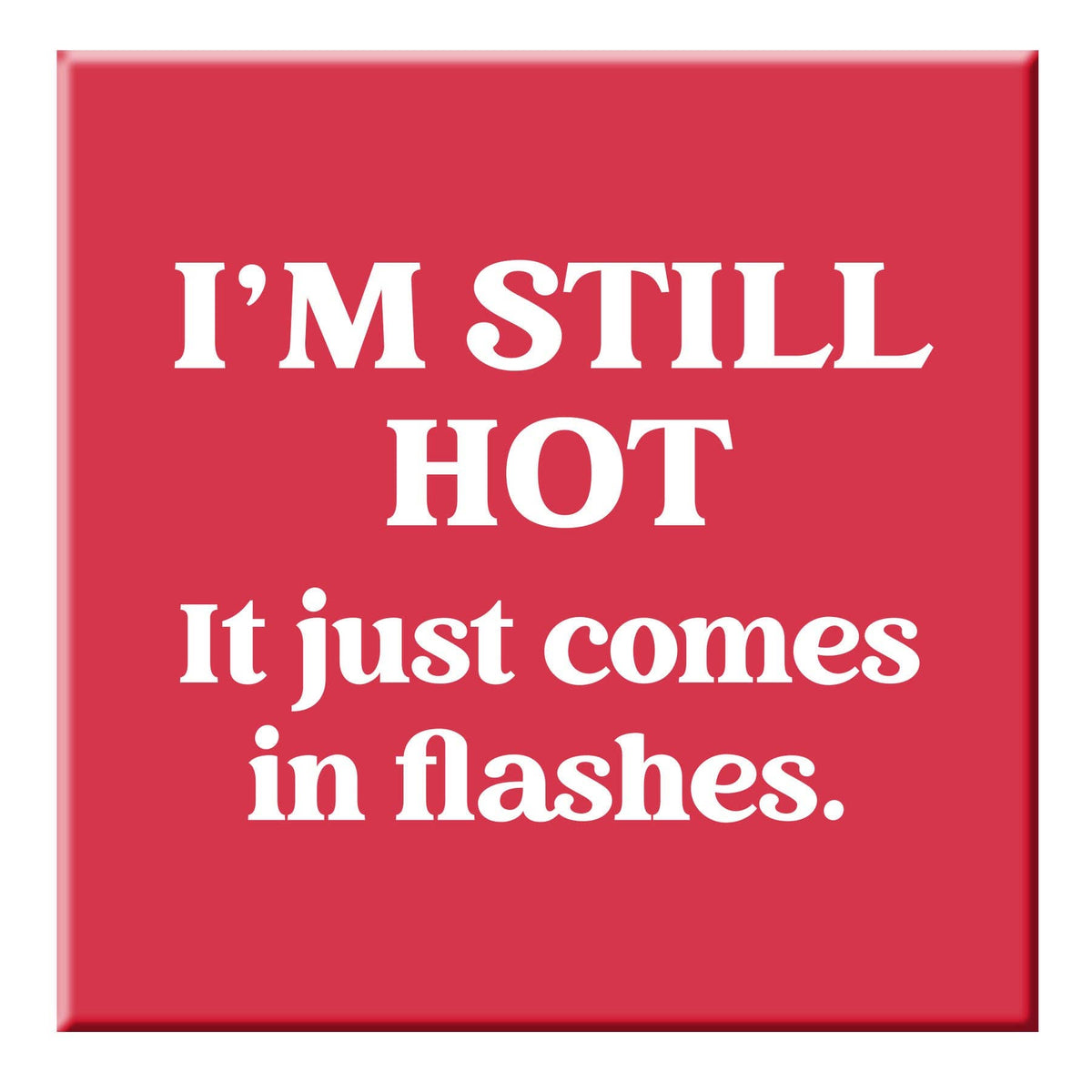 Chris’s Stuff Inc. - Funny Magnet - I'm still hot