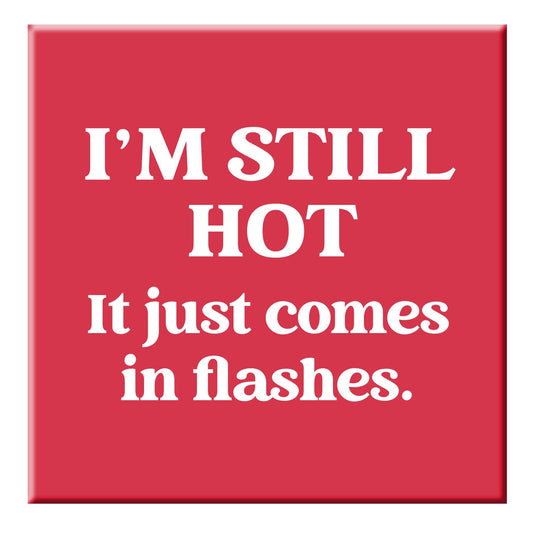 Chris’s Stuff Inc. - Funny Magnet - I'm still hot