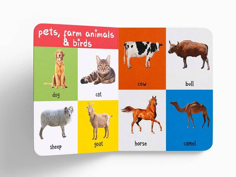 My First 100 Animals And Birds Independent Publishers Group