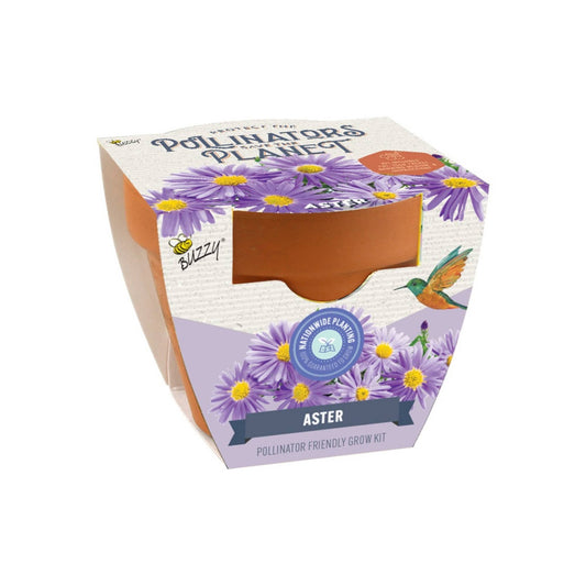 Pollinator Classic Terracotta Aster Grow Kit – Indoor Gift
