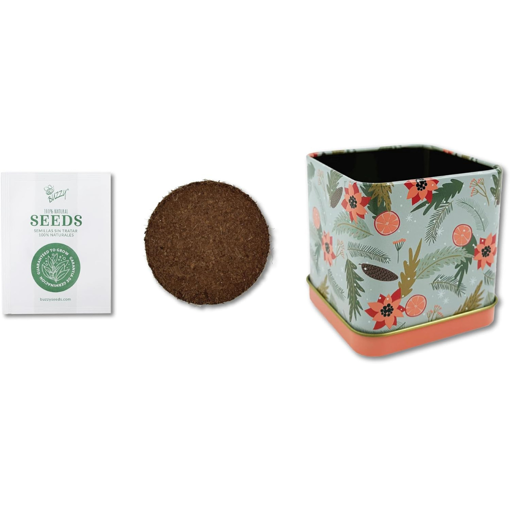Holiday Mint Grow Kit
