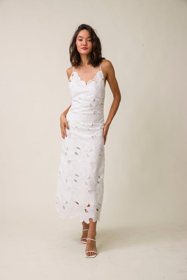 Womens Morning Glory Midi Dress