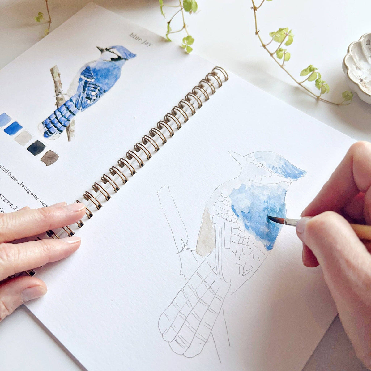 emily lex studio - Birds watercolor workbook emily lex studio
