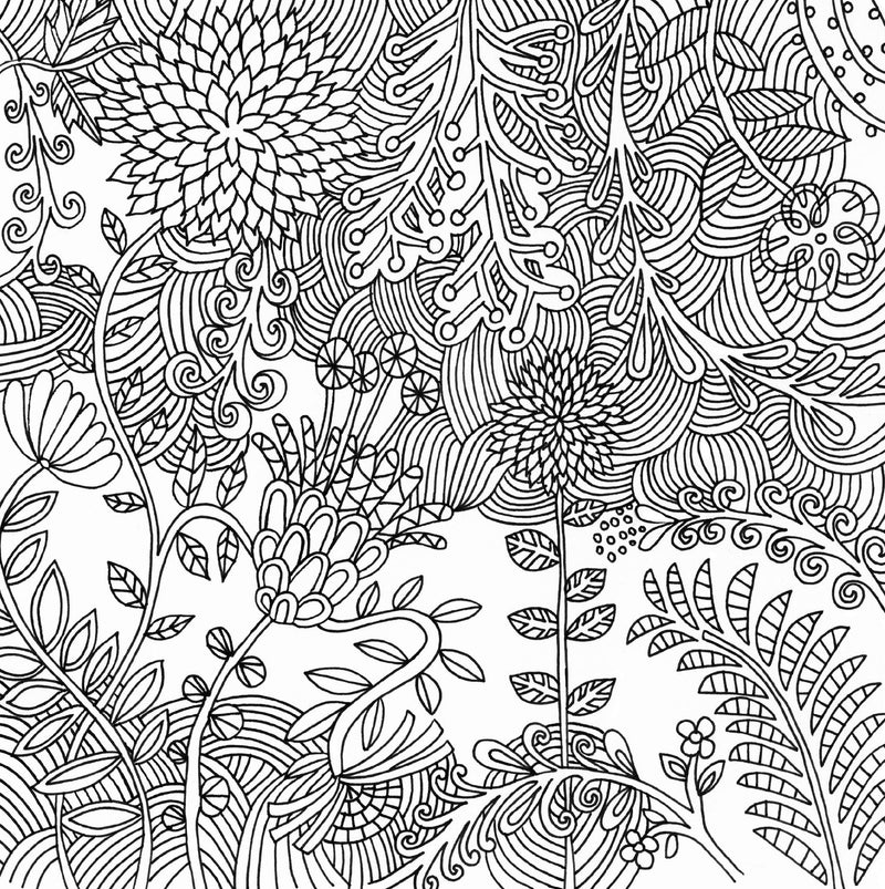 Peter Pauper Press - Serenity Artist's Coloring Book Peter Pauper Press