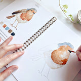 emily lex studio - Birds watercolor workbook emily lex studio