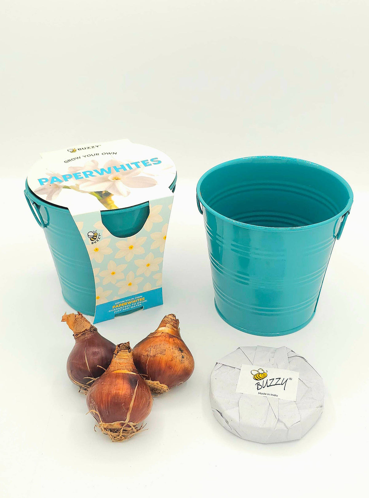 Paperwhite Bulb Grow Kit in Teal Pail
