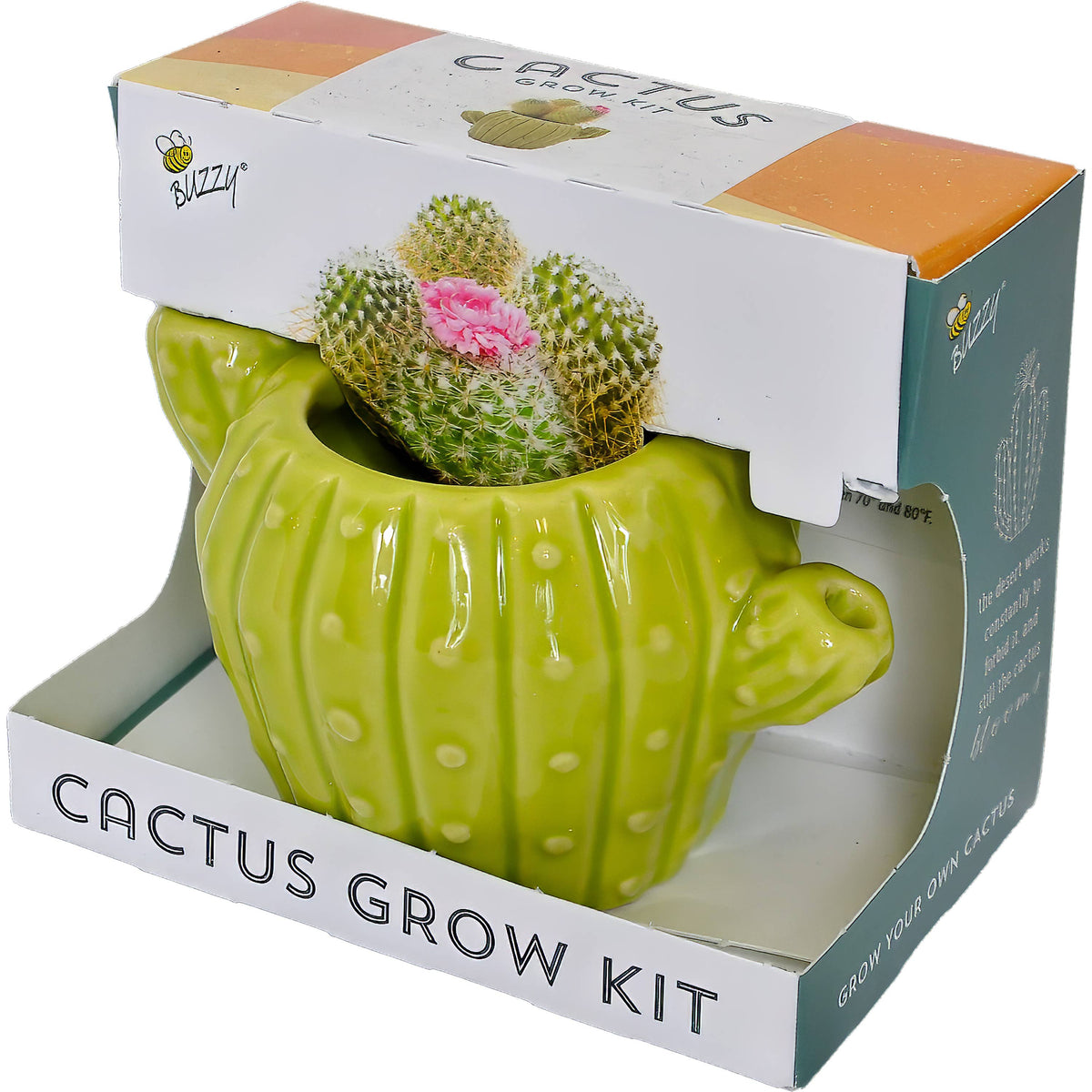 Classic Cactus Grow Kit