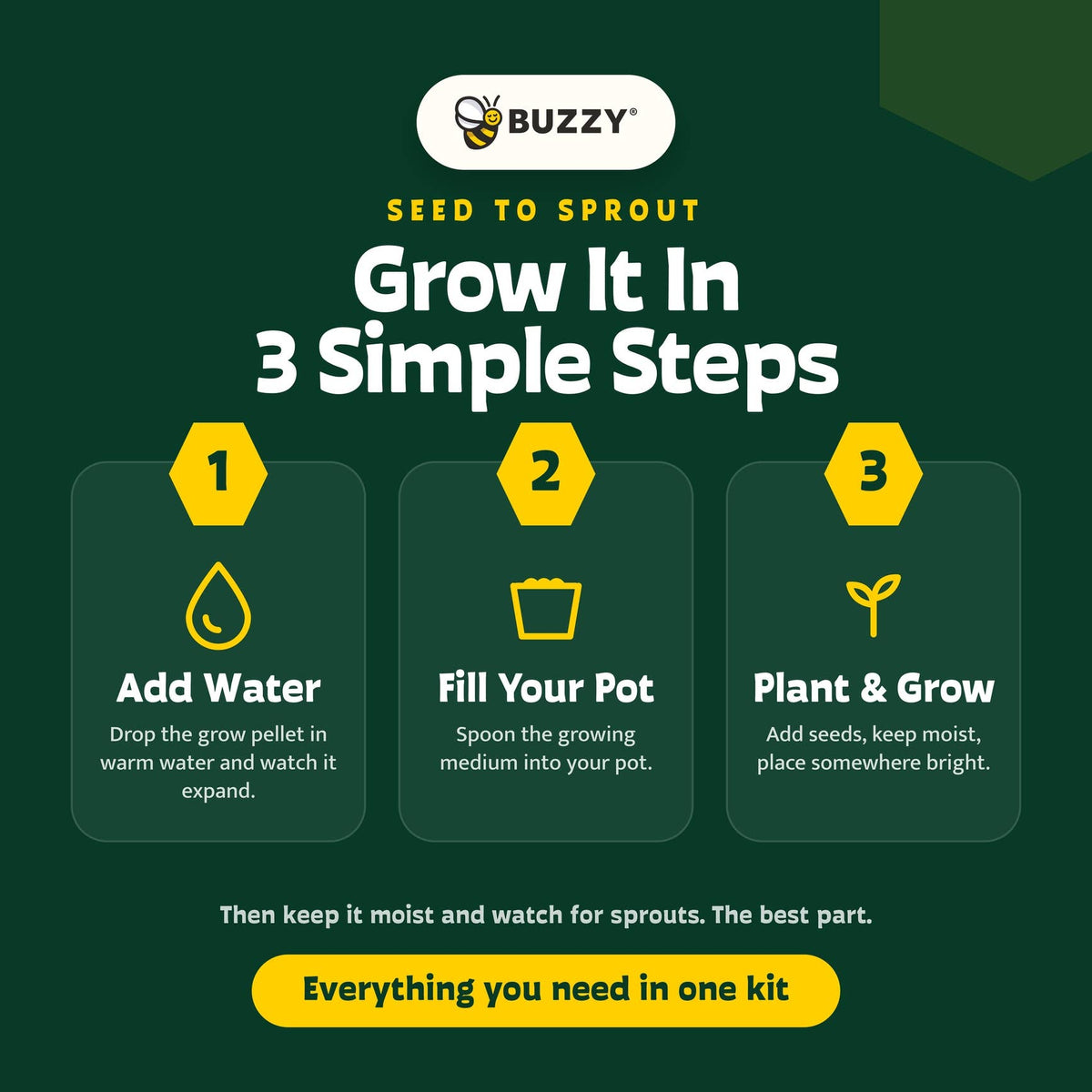 Classic Cactus Grow Kit