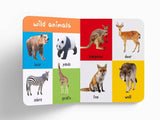 My First 100 Animals And Birds Independent Publishers Group