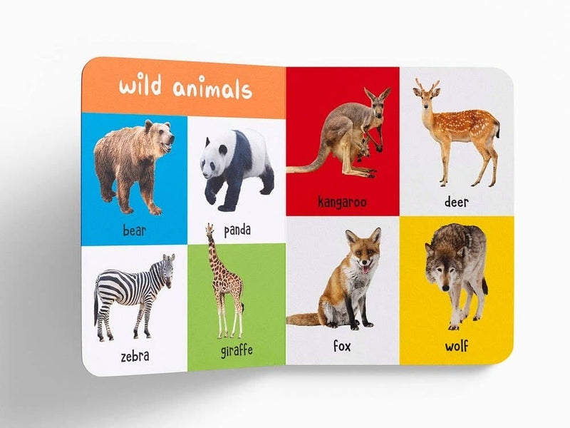 My First 100 Animals And Birds Independent Publishers Group