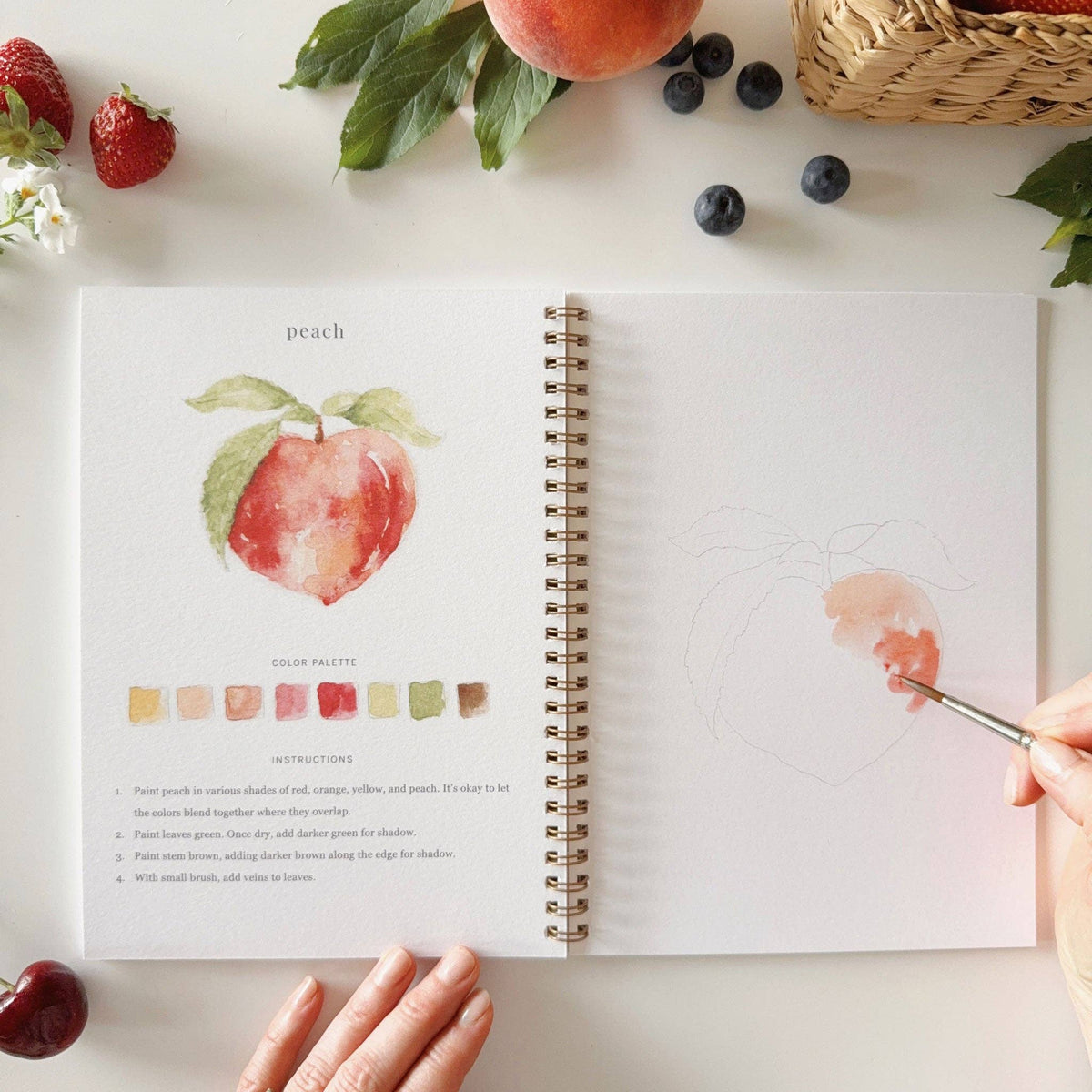 - Fruit watercolor workbook