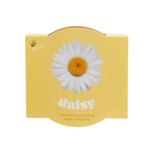 Classic 3.3 in. Terracotta Daisy Grow Kit – Indoor Gift