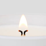 Pecan Pie Candle: White 7.5oz
