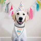 Santa Barbara Design Studio by Creative Brands - Pet Bandana - It's My Birthday And I'll Bark If I Want To Santa Barbara Design Studio by Creative Brands