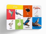 My First 100 Animals And Birds Independent Publishers Group