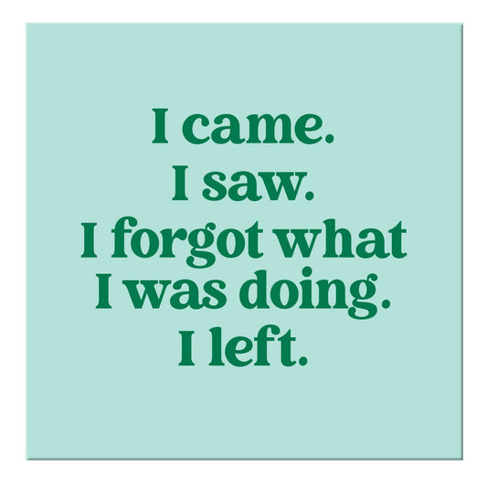 Chris’s Stuff Inc. - I came.  I saw. Magnet