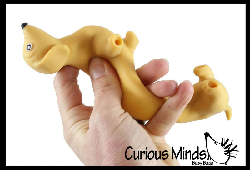 Curious Minds Toys - 1 Stretchy Weiner Dog Crushed Bead Sand Filled - Doggy Lover Curious Minds Toys