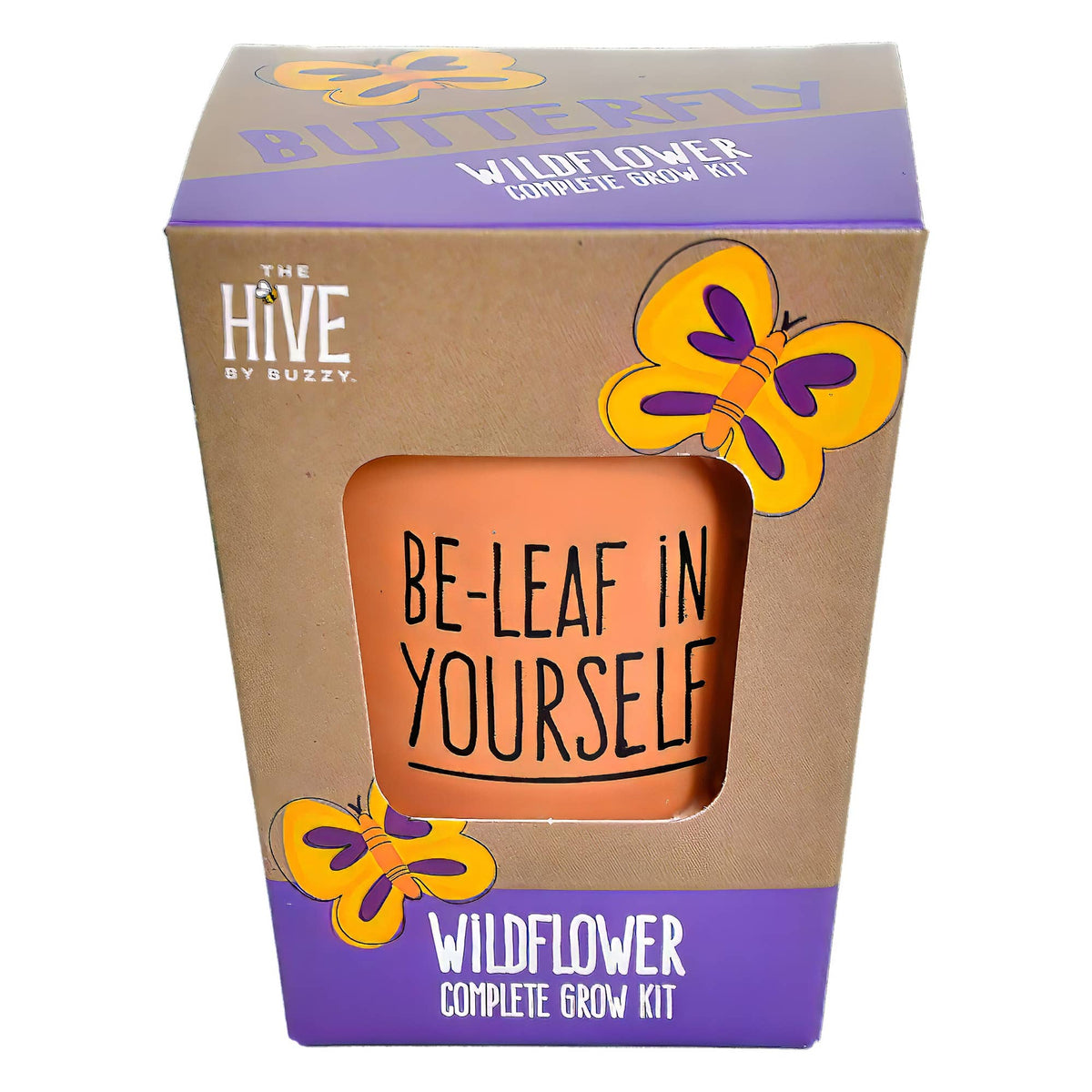 Inspirational Wildflower Grow Kit