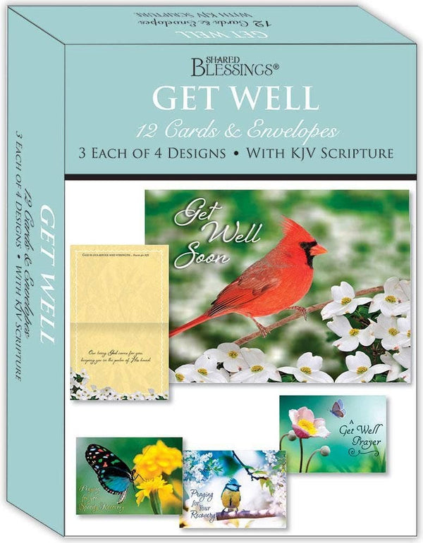 Crown Point Graphics - Get Well - Birds and Butterflies - Assorted Get Well Cards Crown Point Graphics