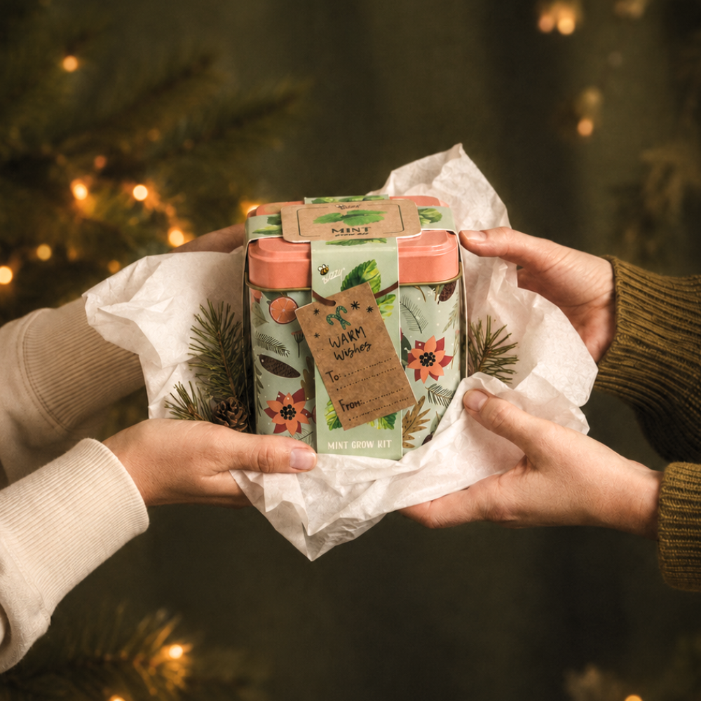Holiday Mint Grow Kit