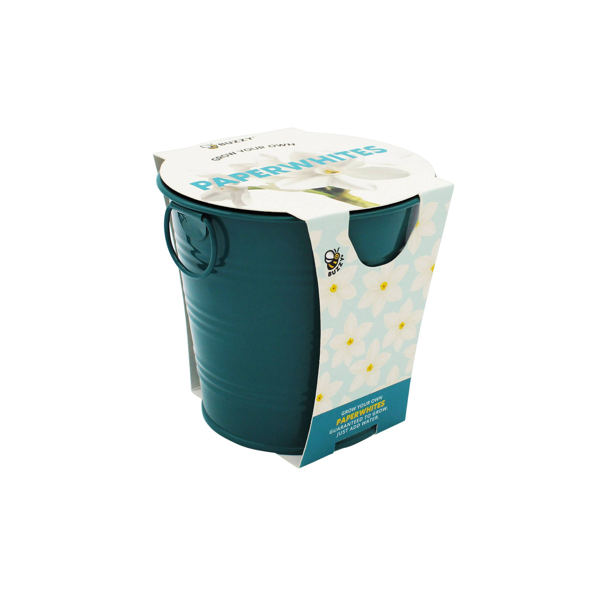 Paperwhite Bulb Grow Kit in Teal Pail