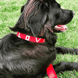 Love Is Project - LOVE Pet Collar - Red Love Is Project